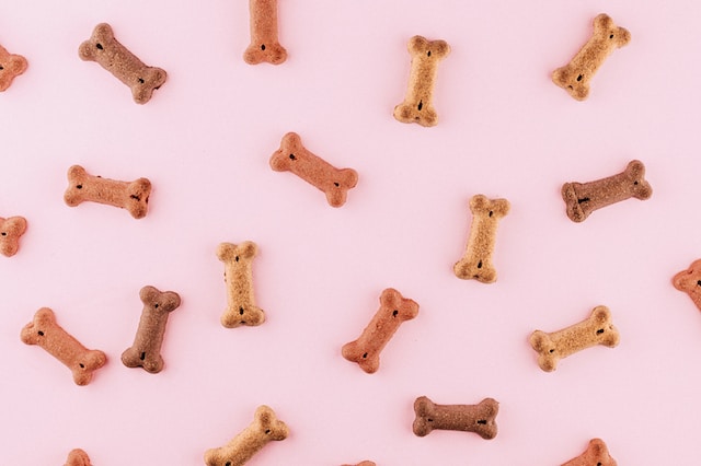 Petisco natural para cães